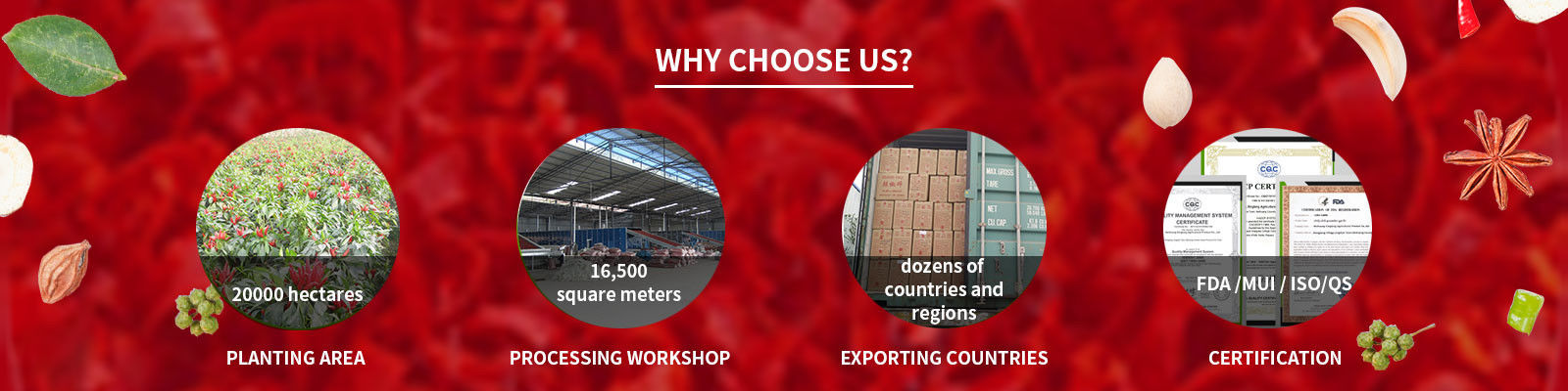 پودر فلفل چیلی