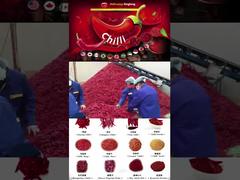 اسپیس فاکوری 03