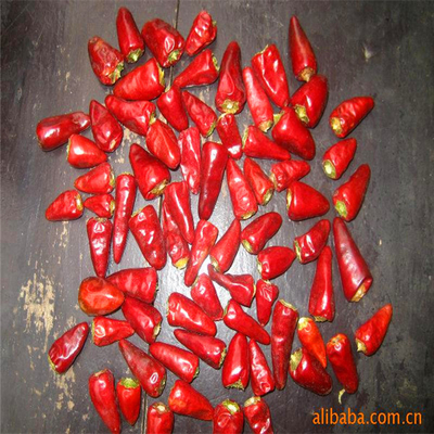 فلفل سرخ گلوله ای با کلاه خشک شده