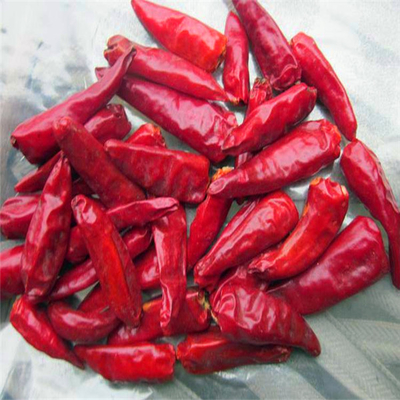 کلاه سرخ شکل گلوله خشک شده با طعم شدید