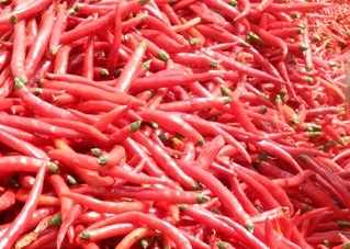 تند و خشک 1 کیلوگرم مرغ چشم چیلی مواد تشکیل دهنده ارائه می دهد طعم بی نظیر