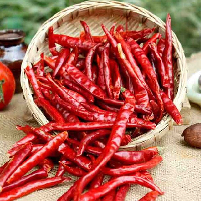 7-19 سانتی متر طول چیلی های خشک کننده با بسته بندی خلاء بسته بندی شده