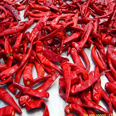 10 کیلوگرم وزن واحد چیلی با محتوای رطوبت 12٪ حداکثر