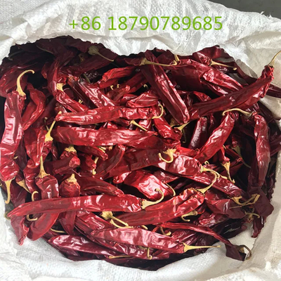 فلفل شیرین خشک شده 7-19 سانتی متر در رنگ قرمز طبیعی