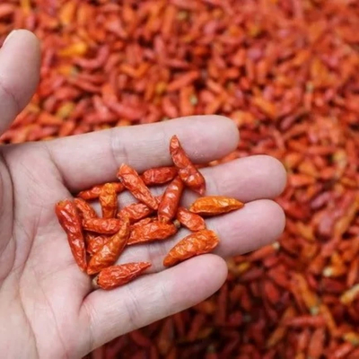 چیلی سرخ خشک شده چشم پرنده برای پخت و پز تند