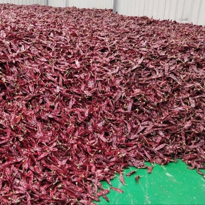 1000 cfu/g بابریکا پوپ برای تجارت مواد غذایی شما