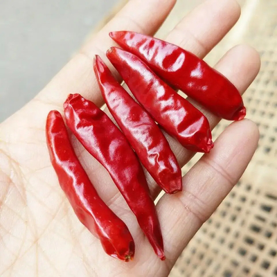 گلوله قرمز شعله دار چیلی ادویه علف های تک نفره