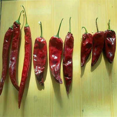 Add a Kick to Your Dishes with Dried Spicy Peppers Essential Chili Ingredients اضافه کردن یک لگن به غذاهایتان با فلفل های تند خشک