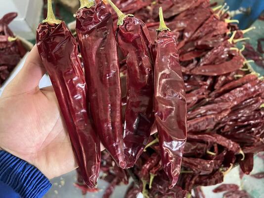 Natural Red No Additive Paprika Chilli Dried Red Chilli Peppers 10kg/CTN for Food Cooking