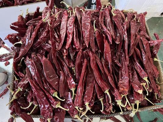 Natural Red No Additive Paprika Chilli Dried Red Chilli Peppers 10kg/CTN for Food Cooking