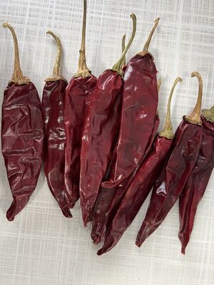 Natural Red Dried Guajillo Chili with No Additive and ≤ 11-14.0% Moisture for Cooking