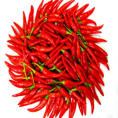 20000SHU Sanying Tianjin Red Chilies HACCP KOSHER