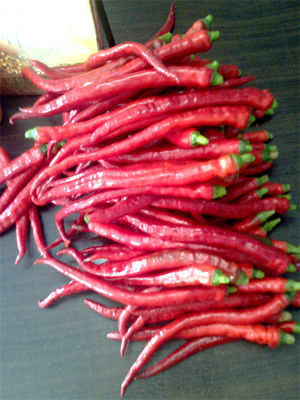 8000-12000shu Erjingtiao فلفل قرمز خشک شده با حرارت متوسط ​​استفاده از خمیر لوبیا چیلی