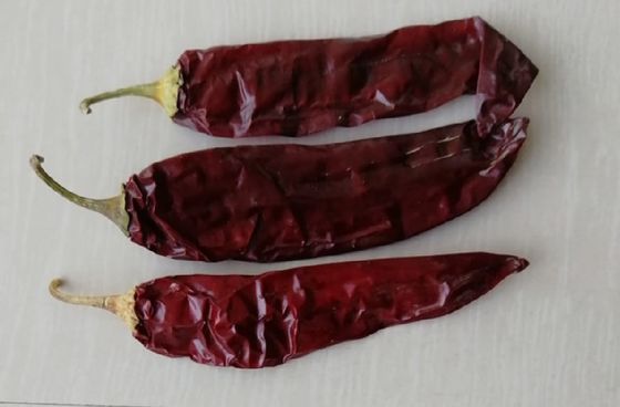 فلفل سرخ خشک شده ادویه و پودر ادویه برای شرکت مواد غذایی