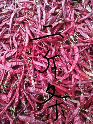 Erjingtiao خشک Chilis استریلیزه تمام فلفل قرمز تند