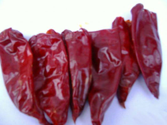چاشنی غذای فلفل قرمز شیلی Yidu 9CM غلاف چربی مخصوص پوزول