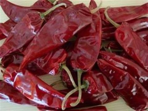 چاشنی غذای فلفل قرمز شیلی Yidu 9CM غلاف چربی مخصوص پوزول