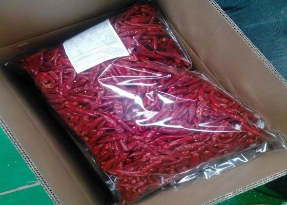 MUI تیانجین قرمز فلفل قرمز معتبر Chilli Pods تک گیاه