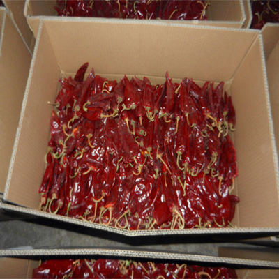 فلفل دلمه ای قرمز خشک XingLong 8٪ فلفل خشک چیلی رطوبت
