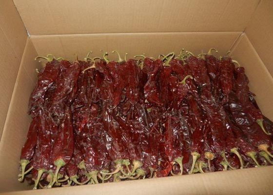 Stick Mexico Guajillo 220 ASTA خشک Guajillo شیلی 14٪ رطوبت