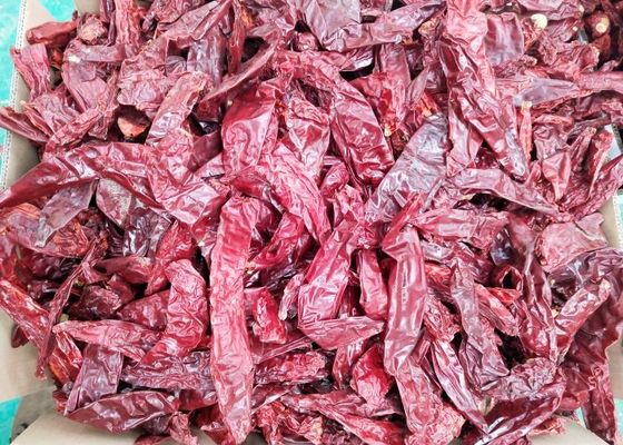 Stick Mexico Guajillo 220 ASTA خشک Guajillo شیلی 14٪ رطوبت