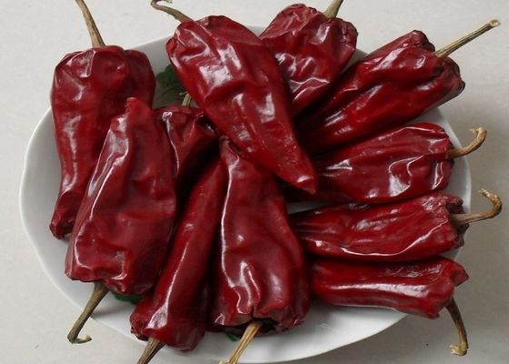 Hot 8000-12000SHU Chile Guajillo تند با رایحه میوه ای و دودی