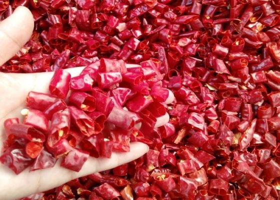 انواع فلفل فلفل تند حلقه فلفل تند برای ادویه های گیاهی تک