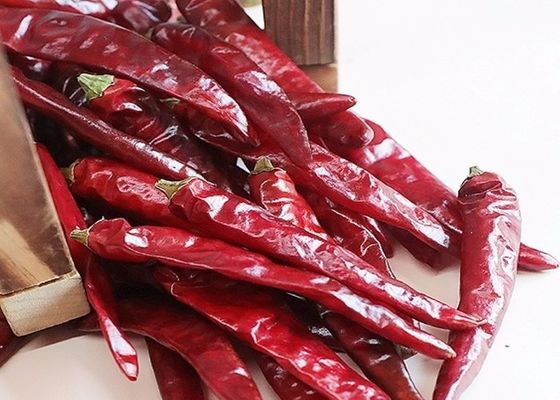 چیلی قرمز تیانجین طعم تند و واقعی از چین