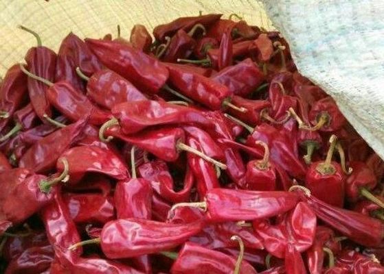 فلفل دلمه ای Yidu Chili Air Dried Hydrated Whely Chilli Pods Spicy رایحه