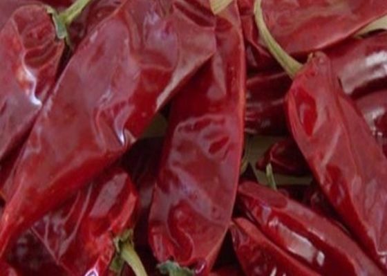 8000SHU Cherry Red Guajillo Chilis AD Drying Chile Guajillo Pods Stick شکل