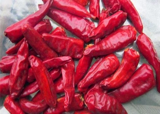 مواد تشکیل دهنده چیلی را در مکان های خنک و خشک نگه دارید