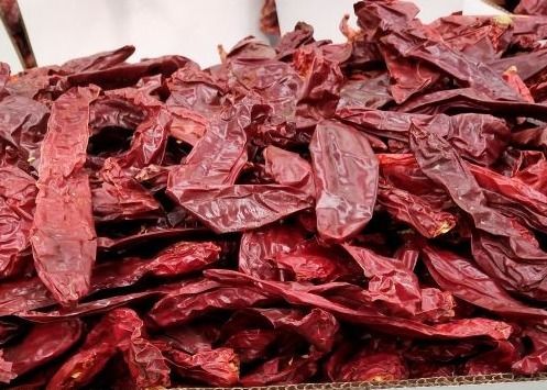 Chiles California Dried Guajillo Chili سایز بزرگ با دستان قرمز طبیعی انتخاب شده است