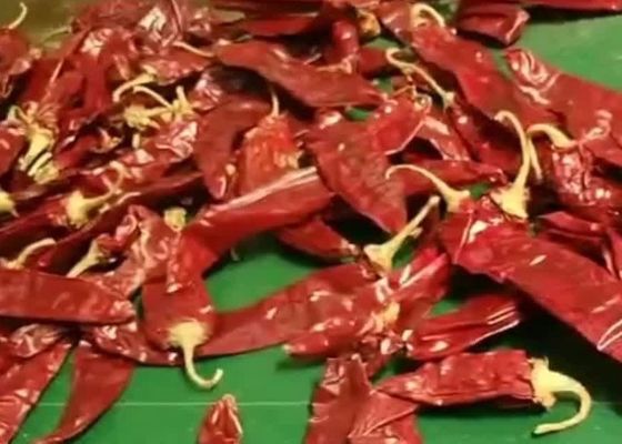 8000SHU Cherry Red Guajillo Chilis AD Drying Chile Guajillo Pods Stick شکل
