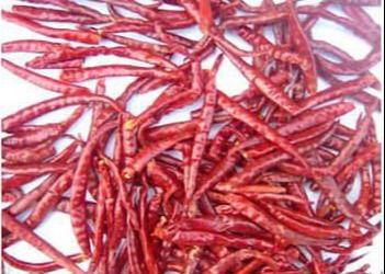 انواع فلفل چیلی فلفل چینی خشک AD فرآیند خشک کردن