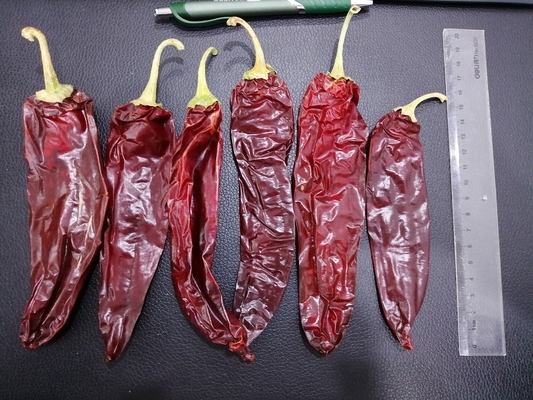 Chiles California Dried Guajillo Chili سایز بزرگ با دستان قرمز طبیعی انتخاب شده است