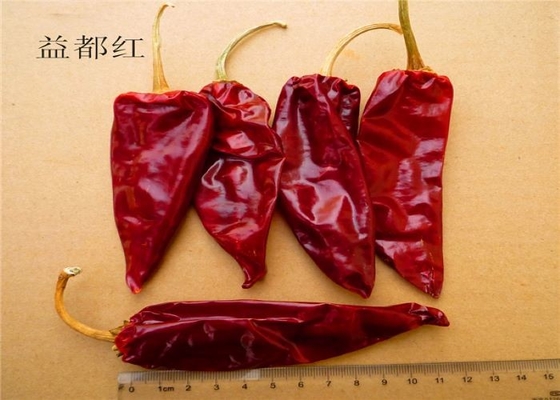 ارگانیک Yidu Chilli فلفل قرمز Beijinghong Jinta Chilli 10 سانتی متر 12% رطوبت