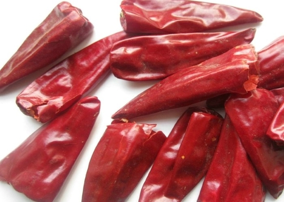 8000 SHU Outhentic Yidu Dried Chili فلفل قرمز Beijinghong Jinta Chilli