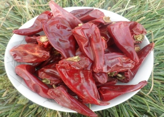 آشپزی پودر فلفل قرمز خرد شده یدو چیلی 8 تا 15 سانتی متر با / بدون ساقه