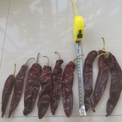 کل / چوب 10-15 سانتی متر طول چیلی خشک شده گوجیلو برای استفاده از استو