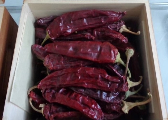 Chiles California Dried Guajillo Chili سایز بزرگ با دستان قرمز طبیعی انتخاب شده است