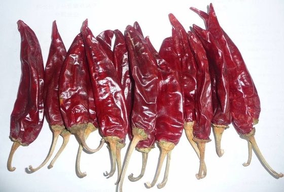 Chiles California Dried Guajillo Chili سایز بزرگ با دستان قرمز طبیعی انتخاب شده است