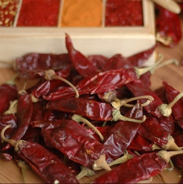 تجربه کردن ثروت خفیف Yidu چیلی چیلی خشک 7-15 سانتی متر طول تند 200 گرم