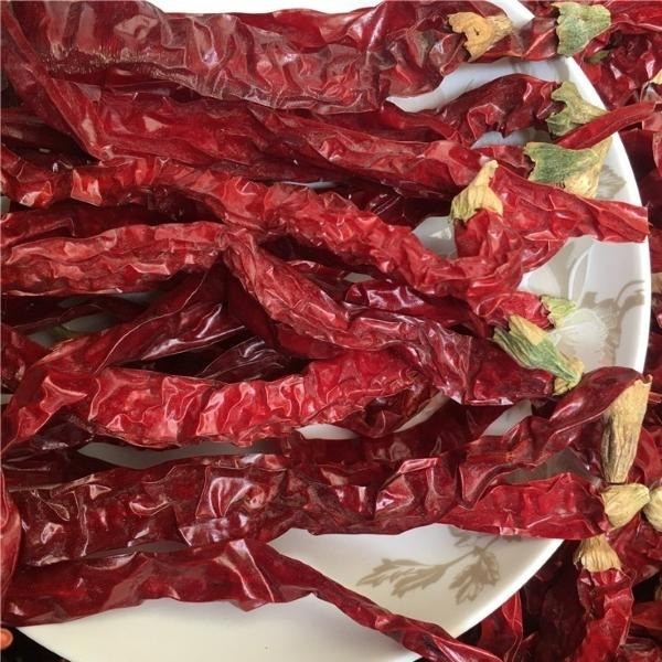 تجربه کنید گرمای فلفل چیلی خشک شده را. طعم تند و تیز فلفل برای نگهداری خنک و خشک.